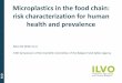 Microplastics in the food chain: risk characterization for human … · 2017-12-01 · Persorption. Plastics < 130 µm. ILVO Health effects. 1. Particle effects • Laboratory toxicity