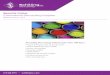 Reusche Colors - Schilling Inc · 419.468.5794 • schillinginc.com Reusche Colors Commercial Decorating Supplies Effective April 1, 2019