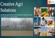 Creative Agri Solutions - CGIAR...Creative Agri Solutions Pvt Ltd is a Delhi-based research & consulting firm with a strong focus on agriculture, livestock, natural resources and forestry