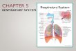 RESPIRATORY SYSTEM208.93.184.5/~jones/medterm/c5ppt.pdf · 2 FUNCTION, ANATOMY, PHYSIOLOGY, AND PROCEDURES OF THE RESPIRATORY SYSTEM 1. State the function of the respiratory system