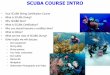 SCUBA COURSE INTRO...SCUBA certification. You can also do a “Try SCUBA” pool experience to experience breathing from the equipment and learning a few skills. This experience and