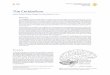 The Cerebellum - Wikimedia · 2018-01-08 · The cerebellum (Latin for “little brain”) is a region of the brain that plays an important role in motor control. It may also be involved