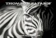 THOMSON SAFARIS€¦ · TANZANIA SAFARIS 2018 – 2020 THOMSON SAFARIS THOMSON SAFARIS THOMSON SAFARIS Our home. Your adventure. THOMSON SAFARIS ... dik-diks, agama lizards, baboons,