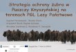Strategia ochrony żubra w Puszczy Knyszyńskiej na terenach ... · organu, któremu podlegać będą żubry na terenie Dyrekcji. • ustalenie zasad finansowania przyszłych działań