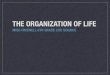 Levels of Organizationmissfriswell.weebly.com/.../levels_of_organization.pdfLevels of Organization All life is organized into a number of diﬀerent levels These levels range from
