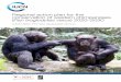 Western Chimpanzee Action Plan · 2020-06-23 · EXECUTIVE SUMMARY In 2016, IUCN uplisted the western chimpanzee, Pan troglodytes verus, from “Endangered” to “Critically Endangered”