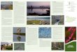 Luitemaa A2 eng - Avaleht | Keskkonnaamet · 2018-11-30 · Publication supported by Environmental Investment Centre Luitemaa Nature Reserve Photo: Pinewood on sand dunes, M. Kose