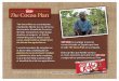 aaff sales folder cocoa plan - Nestlé Professional · Title: aaff_sales_folder_cocoa_plan.indd Created Date: 9/7/2011 9:54:59 AM