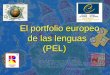 La historia del portfolio europeo de las lenguas · El portfolio europeo de las lenguas 1.- Pasaporte de lenguas Individual Refleja lo que sabes hacer en las distintas lenguas Mediante