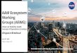 AAM Ecosystem Working Groups (AEWG) · 2020-07-23 · AAM Ecosystem Working Groups (AEWG): Urban Air Mobility (UAM) Concept of Operations (ConOps) Airspace Breakout. July 16. th,