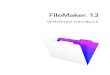FileMaker 13...Architektur von FileMaker WebDirect 8 Impliziertes Interaktionsmodell 9 Layout-Rendering in FileMaker WebDirect 9 Auswirkungen von Web-Technologien auf Ihre Lösung