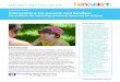 RESEARCH AND EVALUATION - Parenting Research Centre · Parenting Program. A major review of Triple P by the program’s creators used a single measure of social emotional behavioural