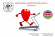 RESPUESTAS CARDIOVASCULARES AL EJERCICIO€¦ · ejercicio podía entrañar para el corazón, Estudios realizados de seguimiento a largo plazo a deportistas de alto nivel han podido