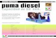 Certificación ISO 9001/2008 puma diesel ELECTRICAS PUMA... · plantas eléctricas capacidad de 39 kVA. con potencia Certificación ISO 9001/2008 PLANTAS ELECTRICAS ® Grupos generadores