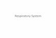 Respiratory System - basu.org.in€¦ · Respiratory system acts as supplying of O 2 to the blood & remaining CO 2 from the blood. Respiratory apparatus: Nostrils - These are the