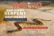 our giant Serpent - Orianne Societyoriannesociety.org/wp-content/uploads/2018/04/Indigo... · 2018-04-25 · Indigo magazine Issue 1 • Spring 2013 Canoeing Georgia’s Suwannee