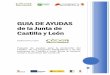 GUIA DE AYUDAS de la Junta de Castilla y León · Castilla y León Elaboración propia Paquete de ayudas para la protección del empleo, de las personas trabajadoras y de las 