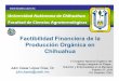 Factibilidad Financiera de la Producción Orgánica en ChihuahuaP. C., 2010) Factibilidad Financie… · Control de palomilla (Gusatión) 4 350 1,400 2.14% Control de acaros (Agrimec)