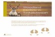 Woodland Caribou Infographic - Microsoft · Woodland caribou need a variety of habitat types for their life cycle. They need areas for food throughout the seasons, to seek refuge