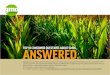 TOP 10 CONSUMER QUESTIONS ABOUT GMOS,ANSWERED. · TOP 10 CONSUMER QUESTIONS ABOUT GMOS,ANSWERED. GMO Answers and the Council for Biotechnology Information conducted a nationwide survey