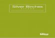 Silver Birches - media.rightmove.co.uk · Alford is a market town that has a selection of local shops and businesses, including a dry cleaners, supermarket, cafe, chemist, butcher,