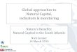 Global approaches to Natural Capital, indicators & monitoring€¦ · 1. Natural capital & ecosystem services •Natural ‘Capital’ derived from accounting concept of stocks of
