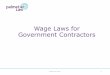 Wage Laws for Government Contractors - Palmetier Lawpalmetierlaw.com/media/1047/wage-laws-palmetier-law.pdf•Establishes minimum hourly rates •Ensure fringe benefits are provided