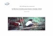 Indigenous Peoples and Climate Change/ REDD An overview of … · 2016-05-19 · Indigenous peoples’ climate change discussions in their own fora ... 2 As established in the UN