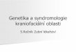 Syndromy kraniofaciální oblastiis.muni.cz/el/1411/podzim2015/ZLKG0911s/KFS_2016_IS.pdfGenetické příčiny hypodontie Izolované formy Nejčastěji zmiňovány mutace v genech: