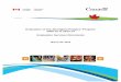 Evaluation of the Aboriginal Peoples Program 2009 …...Key informant interviews, document review and cases studies demonstrated that there is a strong need for Indigenous broadcasting