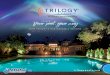 Your pool, your way - Distribution · Your Pool, Your Way Endless Possibilities A Trilogy pool is not only an extension of your home, but also your lifestyle. Swimming is a healthy