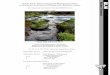 Sandy River Basin Management Plan · Metropolitan area, led to a need to update the management strategies within the Sandy River Basin. In addition to traditional management actions
