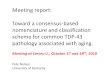 Meeting report: Toward a consensus-based …...Meeting report: Toward a consensus-based nomenclature and classification scheme for common TDP-43 pathology associated with aging. Meeting