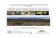 FITZGERALD BIOSPHERE RECOVERY PLAN · FITZGERALD BIOSPHERE RECOVERY PLAN A landscape approach to threatened species and ecological communities for recovery and biodiversity This Fitzgerald
