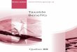 Taxable Benefits · 2013-07-10 · RPP Registered pension plan RRSP Registered retirement savings plan In this brochure, GST is also used to mean GST/HST. 1.1 Content of this brochure