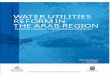 WATER UTILITIES REFORM IN THE ARAB REGION · Ahmed Benaddou - Morocco Dr. Ahmad Moawad - Egypt Fahd Ghallab - Yemen Malek Rawashdeh – Jordan Dr. Amal Hudhud - Palestine Yasar Zahri