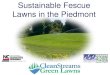 Sustainable Fescue Lawns in the Piedmontcharlottenc.gov/StormWater/SurfaceWaterQuality/... · Mow lawn short at 1-1.5 inches, then core aerate 3. deposit grass seed into the cores,