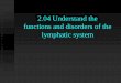 2.02 Understand the lymphatic system-functions...2.04 Understand the functions and disorders of the lymphatic system The Lymphatic System Acquired immunity: Passive - Borrowed immunity