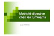 Motricité digestive chez les ruminants - Freeanja.naumann.free.fr/Documents/Motricite_digestive_des...Motricité digestive chez les ruminants Aude FERRAN Introduction Ruminants sont