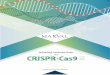 Technology Landscape Study On CRISPR-Cas9...Technology Landscape Study on CRISPR-Cas9 2 EXECUTIVE SUMMARY Although CRISPR was known to have an important role in bacterial immunity