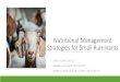 Nutritional Management Strategies for Small Ruminants · Nutritional Management Strategies for Small Ruminants EMILY COPE, PH.D. ANIMAL SCIENCE SPECIALIST NORTH CAROLINA A&T STATE