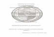 Proyecto - Universidad de Sonoracp.isi.uson.mx/practicas_docs/213214774-reporte.pdf · Proyecto Administración de base de datos, campaña de e-marketing y modelo MATI REPORTE DE