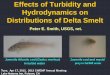 Hydrodynamics on Distributions of Delta Smelt · Effects of turbidity on freshwater fishes is relatively well known, but little is know about the effects on marine and estuarine species