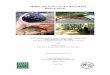 Middle and Lower Neches River Basin Bioassessment€¦ · Biological Surveys: Historically, 91 species of freshwater fishes have been documented from the middle and lower Neches River