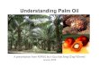 understanding palm oil v2 - IChemE · 2019-02-28 · 0.0 5.0 10.0 15.0 20.0 25.0 30.0 35.0 2004 2010 2016 Global Biodiesel Market Million MT 31.0 CAGR: 9.0% 2.5 18.5 CAGR: 40% •