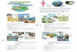 Watershed Education Materials · Poster Where does your water shed? Information covering: What is a watershed? Why is your watershed important? and resource links. Watersheds: Our
