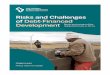 Risks and Challenges of Debt-Financed Development : Roots ...nai.diva-portal.org/smash/get/diva2:1356880/FULLTEXT01.pdf · ding GDP growth and with its expansionary fiscal poli-cies,