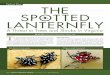 Feature Story The SPoTTeD LAnTernfLy · Feature Story A Threat to Trees and Shrubs in Virginia LAnTernfLy SPoTTeD The By eric Day, Department of Entomology, Virginia Tech he spotted