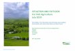 SITUATION AND OUTLOOK For Irish Agriculture July 2019 · Situation and Outlook July 2019 2 INTRODUCTION This mid-year update is a supplement to the annual Situation and Outlook published