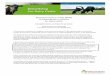 Biobedding For Dairy Cattle - agro-system.de · This brochure: ^Recycled manure solids (RMS) as biobedding in cubicles for dairy cattle _, is free for anyone to use and distribute,